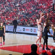 b体育官网-阿尔佩伦-申京：“小火龙”的究极进化